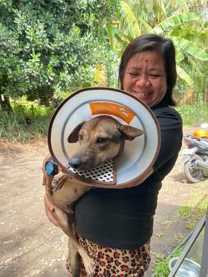 Zadie - Adopt a Stray • Dumaguete Animal Sanctuary